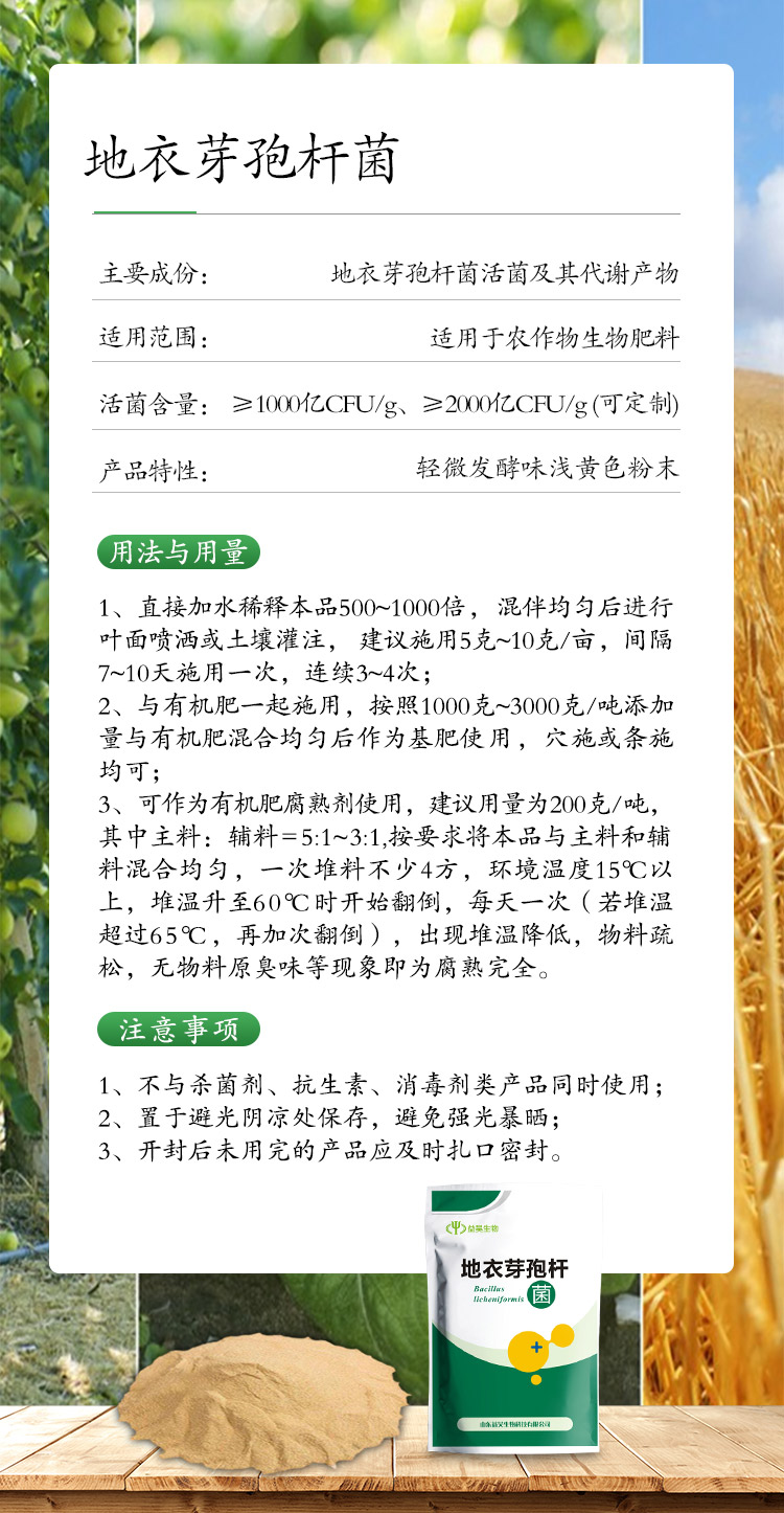 地衣芽孢桿菌 地衣芽孢桿菌